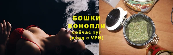 spice Абаза