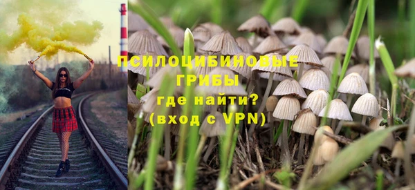 spice Абаза